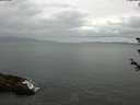 ./images/koeye/fitz-hugh/20180608/fitz-hugh20180608_124501.jpg