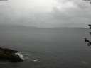 ./images/koeye/fitz-hugh/20180608/fitz-hugh20180608_130501.jpg