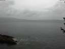 ./images/koeye/fitz-hugh/20180608/fitz-hugh20180608_131001.jpg
