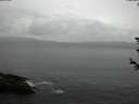 ./images/koeye/fitz-hugh/20180608/fitz-hugh20180608_132001.jpg