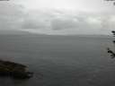 ./images/koeye/fitz-hugh/20180608/fitz-hugh20180608_132501.jpg