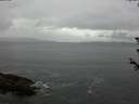 ./images/koeye/fitz-hugh/20180608/fitz-hugh20180608_134502.jpg