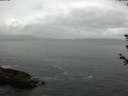 ./images/koeye/fitz-hugh/20180608/fitz-hugh20180608_135502.jpg