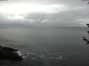 ./images/koeye/fitz-hugh/20180608/fitz-hugh20180608_140502.jpg