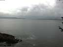 ./images/koeye/fitz-hugh/20180608/fitz-hugh20180608_143502.jpg