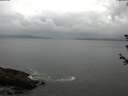 ./images/koeye/fitz-hugh/20180608/fitz-hugh20180608_144002.jpg
