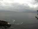 ./images/koeye/fitz-hugh/20180608/fitz-hugh20180608_145502.jpg