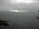 ./images/koeye/fitz-hugh/20180608/fitz-hugh20180608_182501.jpg