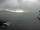 ./images/koeye/fitz-hugh/20180608/fitz-hugh20180608_183501.jpg