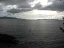 ./images/koeye/fitz-hugh/20180609/fitz-hugh20180609_173501.jpg