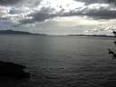 ./images/koeye/fitz-hugh/20180609/fitz-hugh20180609_174501.jpg
