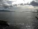 ./images/koeye/fitz-hugh/20180609/fitz-hugh20180609_175001.jpg