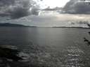 ./images/koeye/fitz-hugh/20180609/fitz-hugh20180609_175501.jpg