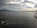 ./images/koeye/fitz-hugh/20180609/fitz-hugh20180609_195502.jpg