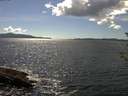 ./images/koeye/fitz-hugh/20180610/fitz-hugh20180610_154502.jpg