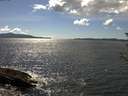./images/koeye/fitz-hugh/20180610/fitz-hugh20180610_155002.jpg