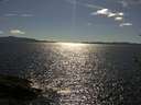 ./images/koeye/fitz-hugh/20180610/fitz-hugh20180610_164501.jpg
