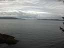 ./images/koeye/fitz-hugh/20180611/fitz-hugh20180611_083502.jpg
