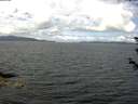 ./images/koeye/fitz-hugh/20180611/fitz-hugh20180611_105502.jpg