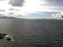 ./images/koeye/fitz-hugh/20180611/fitz-hugh20180611_134001.jpg