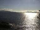 ./images/koeye/fitz-hugh/20180611/fitz-hugh20180611_174502.jpg