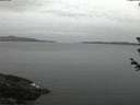 ./images/koeye/fitz-hugh/20180612/fitz-hugh20180612_042502.jpg