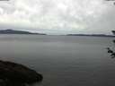 ./images/koeye/fitz-hugh/20180612/fitz-hugh20180612_065001.jpg