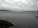 ./images/koeye/fitz-hugh/20180612/fitz-hugh20180612_065501.jpg