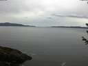 ./images/koeye/fitz-hugh/20180612/fitz-hugh20180612_082501.jpg
