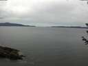 ./images/koeye/fitz-hugh/20180612/fitz-hugh20180612_095001.jpg