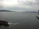./images/koeye/fitz-hugh/20180612/fitz-hugh20180612_095501.jpg