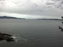 ./images/koeye/fitz-hugh/20180612/fitz-hugh20180612_103502.jpg
