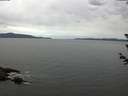 ./images/koeye/fitz-hugh/20180612/fitz-hugh20180612_104502.jpg