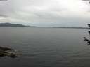 ./images/koeye/fitz-hugh/20180612/fitz-hugh20180612_110502.jpg