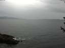 ./images/koeye/fitz-hugh/20180612/fitz-hugh20180612_180001.jpg