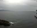 ./images/koeye/fitz-hugh/20180612/fitz-hugh20180612_180501.jpg