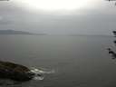./images/koeye/fitz-hugh/20180612/fitz-hugh20180612_182001.jpg