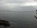 ./images/koeye/fitz-hugh/20180612/fitz-hugh20180612_192501.jpg