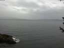 ./images/koeye/fitz-hugh/20180612/fitz-hugh20180612_194002.jpg