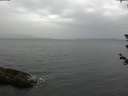 ./images/koeye/fitz-hugh/20180612/fitz-hugh20180612_194502.jpg