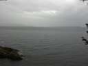 ./images/koeye/fitz-hugh/20180612/fitz-hugh20180612_195502.jpg
