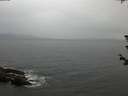 ./images/koeye/fitz-hugh/20180612/fitz-hugh20180612_205001.jpg