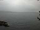 ./images/koeye/fitz-hugh/20180612/fitz-hugh20180612_205501.jpg