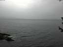 ./images/koeye/fitz-hugh/20180612/fitz-hugh20180612_210501.jpg