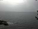 ./images/koeye/fitz-hugh/20180612/fitz-hugh20180612_211001.jpg
