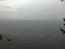 ./images/koeye/fitz-hugh/20180612/fitz-hugh20180612_221001.jpg