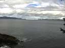 ./images/koeye/fitz-hugh/20180613/fitz-hugh20180613_093501.jpg