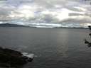 ./images/koeye/fitz-hugh/20180613/fitz-hugh20180613_094001.jpg