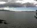 ./images/koeye/fitz-hugh/20180613/fitz-hugh20180613_155001.jpg
