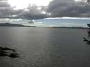 ./images/koeye/fitz-hugh/20180613/fitz-hugh20180613_160501.jpg